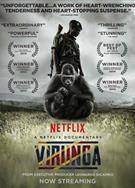 維龍加/Virunga (2014)